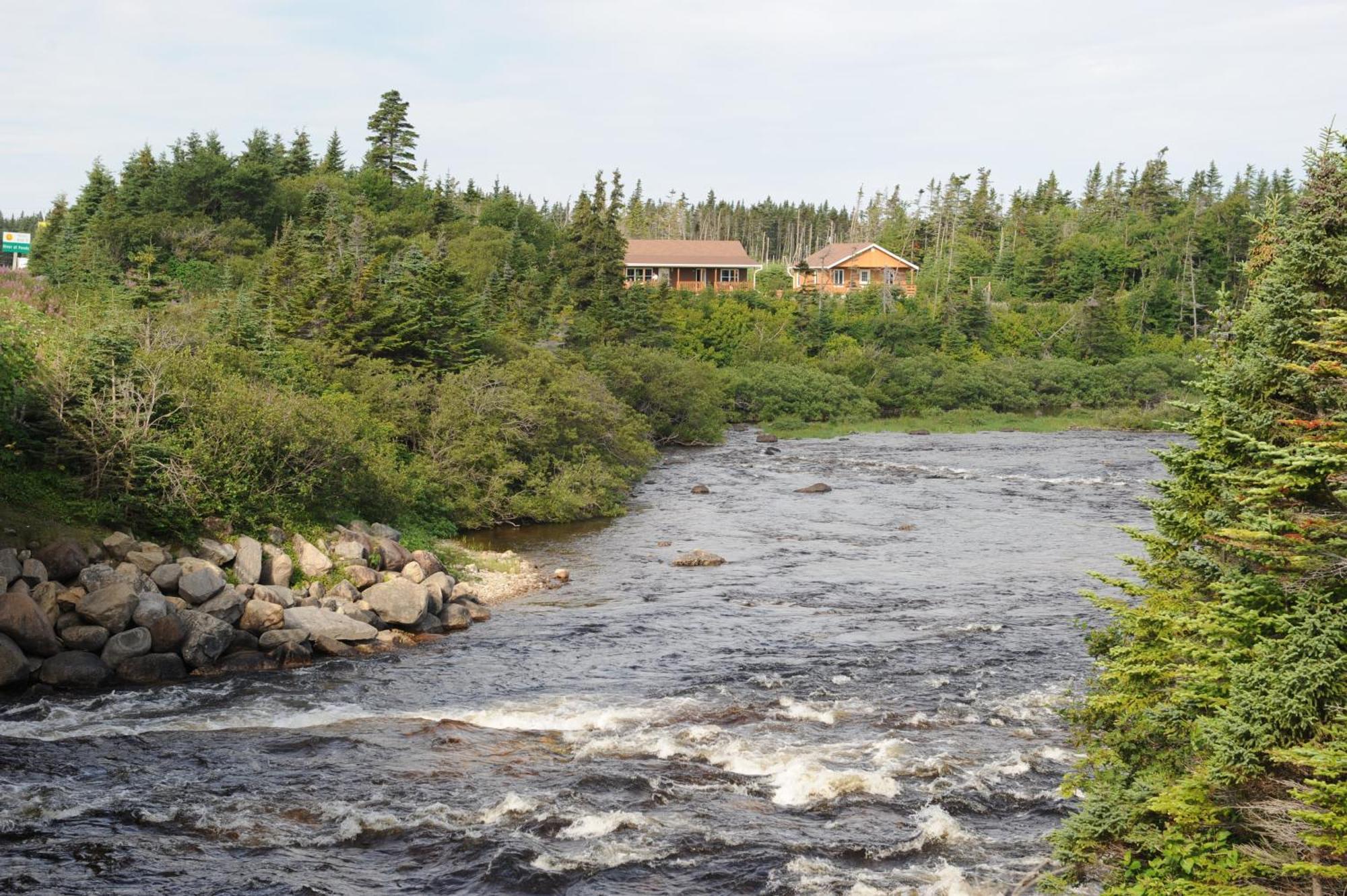 Riverside Chalets River of Ponds Exterior photo
